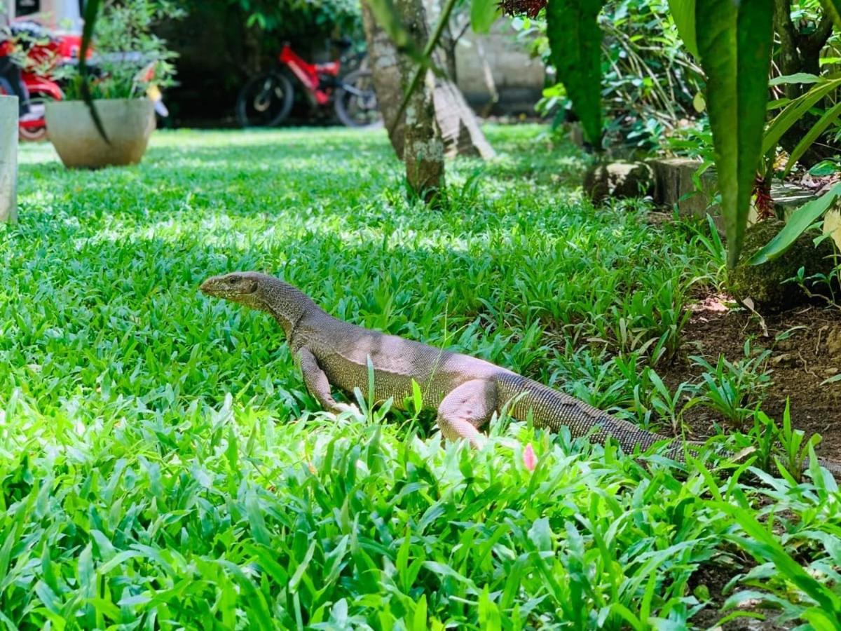 Villa Olga Unawatuna Buitenkant foto