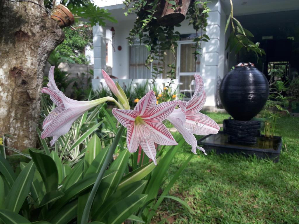 Villa Olga Unawatuna Buitenkant foto