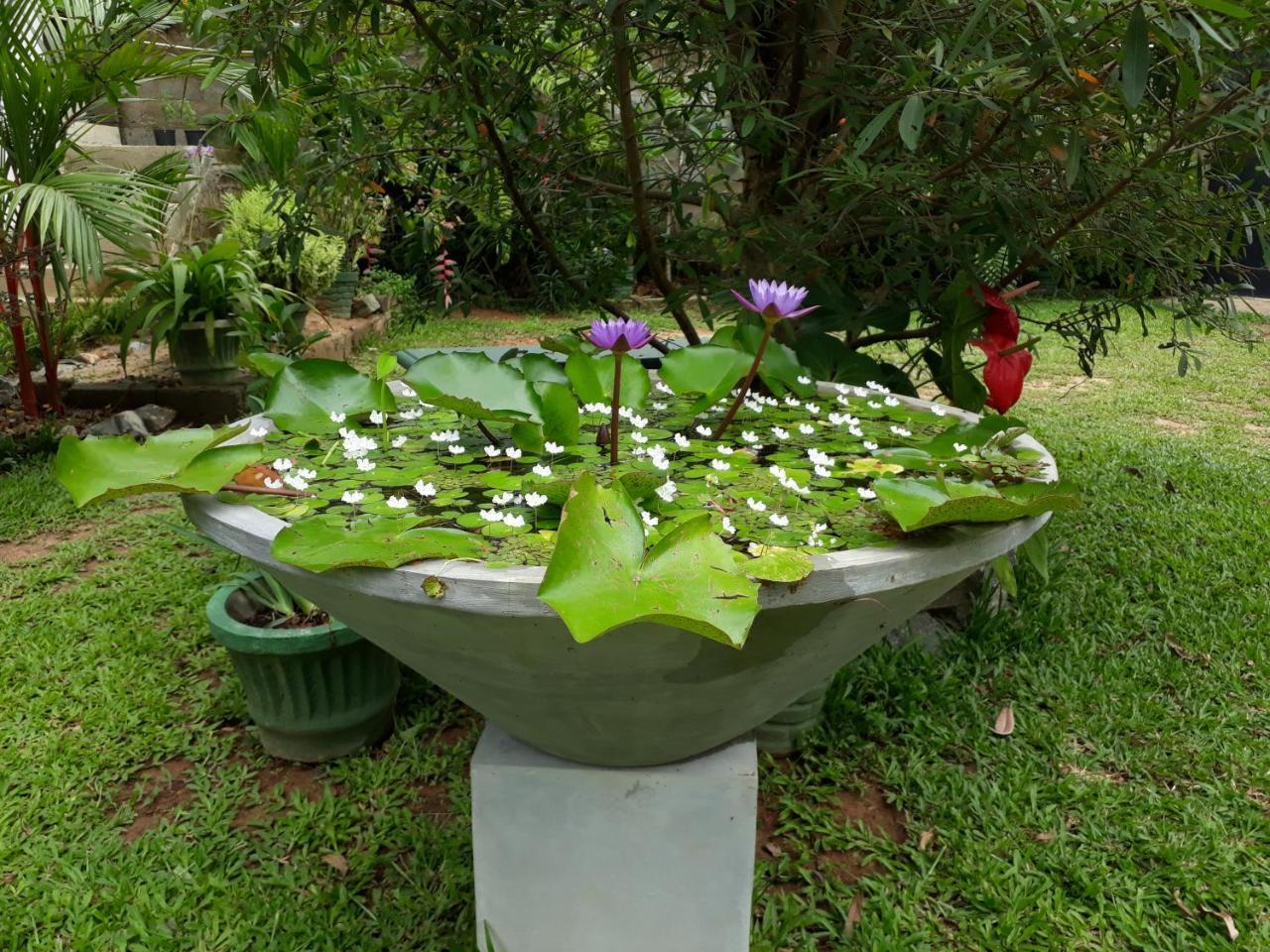 Villa Olga Unawatuna Buitenkant foto